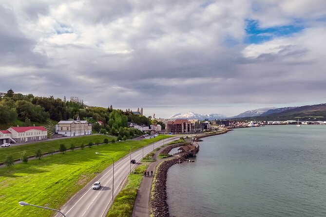 Forest Lagoon Ebike Tour Akureyri - Kjarnaskógur forest hour: 1.5 million trees in the real outdoors