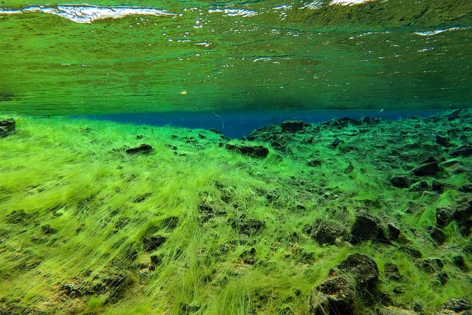 Freedive Silfra Half Day Tour - Silfra and Thingvellir: the setting that makes this tour worth your time