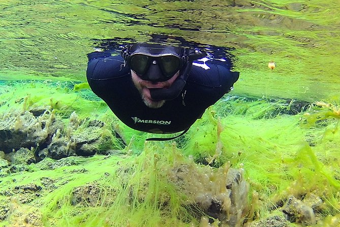 Freedive Silfra Half Day Tour - Staying warm afterward: hot cocoa and what to bring