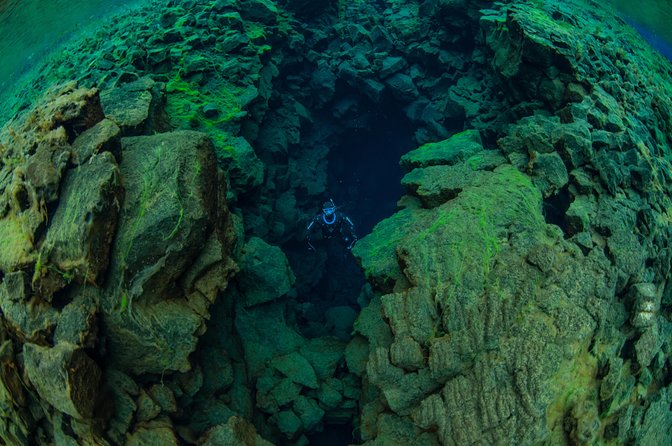 Freedive Silfra Half Day Tour - Beverages, hydration, and why that matters on a short tour