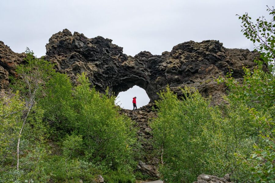 From Akureyri: Myvatn Lake, Craters, & Waterfall Tour - The day’s rhythm: bus time, comfort breaks, and realistic expectations