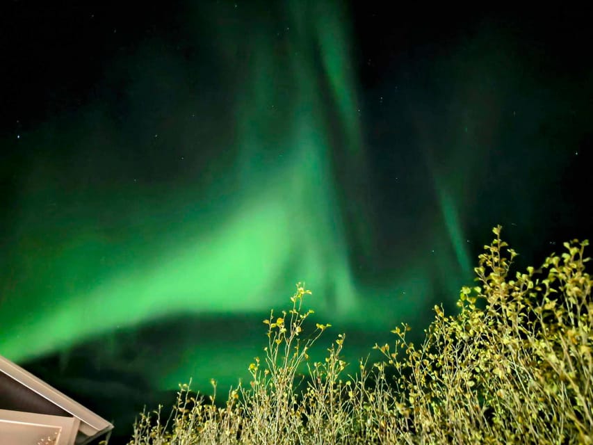 From Akureyri: Northern Lights Tour - What If the Night Is Cloudy or the Lights Are Faint?