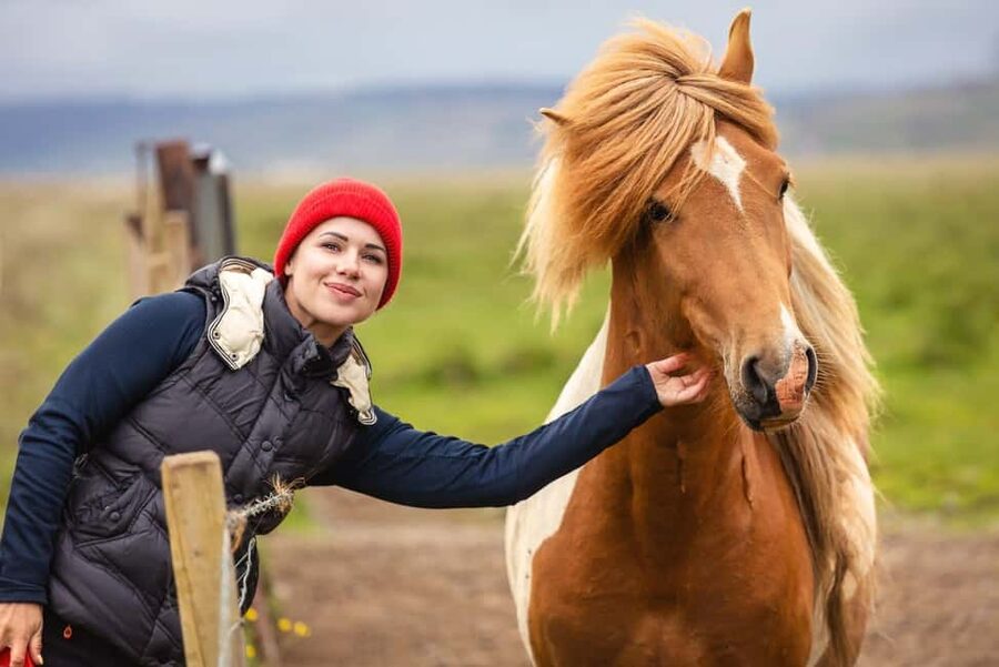 From Reykjavík: Best of Iceland 6-Day Stopover Tour - Northern Lights add-on: seasonal dates and how they manage darkness