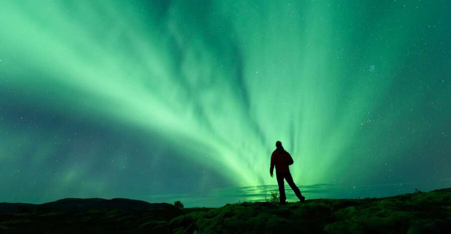 From Reykjavik: Blue Lagoon and Northern Lights Tour - Quick hits before you go