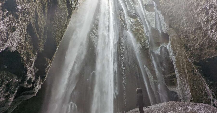 From Reykjavik: Explore the Waterfalls of the South Coast - Thorsteins Grove: Trees, Water, and a Calm Start