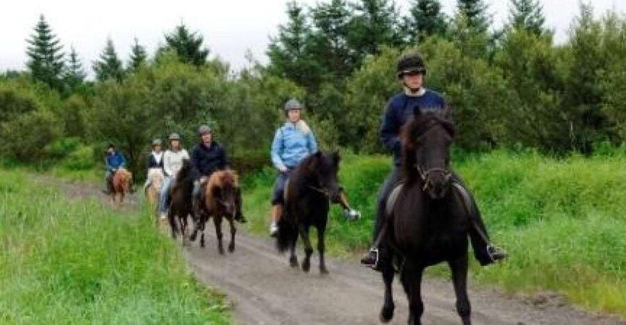 From Reykjavik: Full-Day Horse Riding & Golden Circle Tour - The 9-Hour Reality Check: Why the Day Feels Full (Not Leisurely)