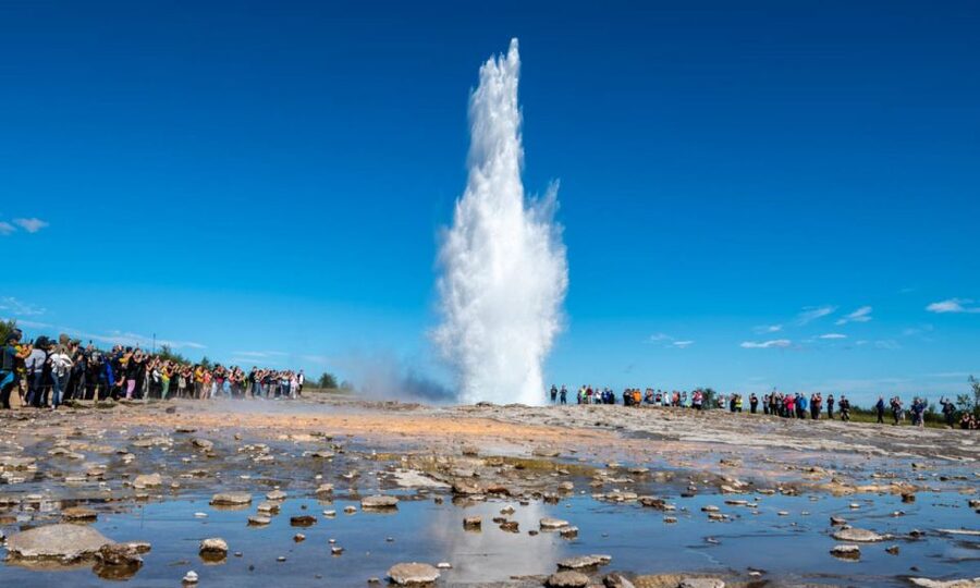 From Reykjavik: Full Day Whale Watching & Golden Circle Tour - Faxafloa Bay cruise: whales, dolphins, seals, and the 97% odds