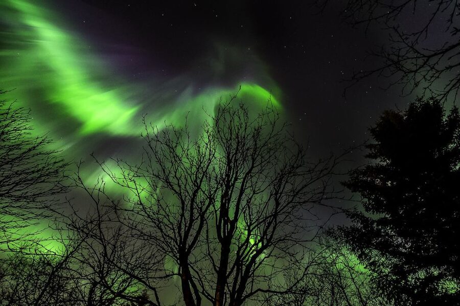 From Reykjavik: Golden Circle and Northern Lights Tour - When auroras show, it can be jaw-dropping, and photos can lie