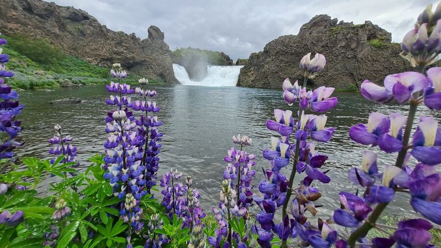 From Reykjavik: Highlands Jeep Tour & Landmannalaugar Hike - Key highlights you should know