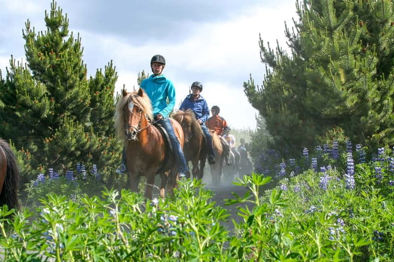 From Reykjavík: Icelandic Horse Riding Tour in Lava Fields - Why Riding Lava Fields From Reykjavík Feels Different