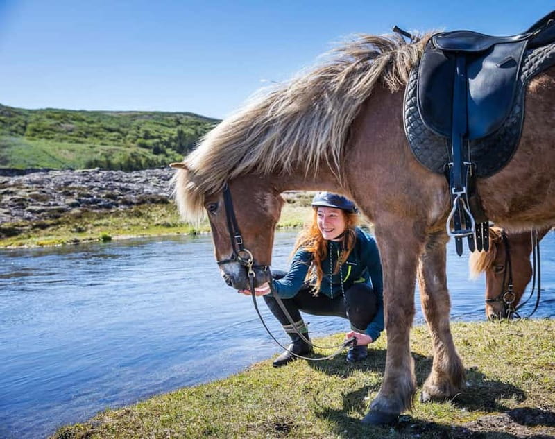 From Reykjavík: Icelandic Horse Riding Tour in Lava Fields - Pickup, Timing, and the Ride’s Real Length