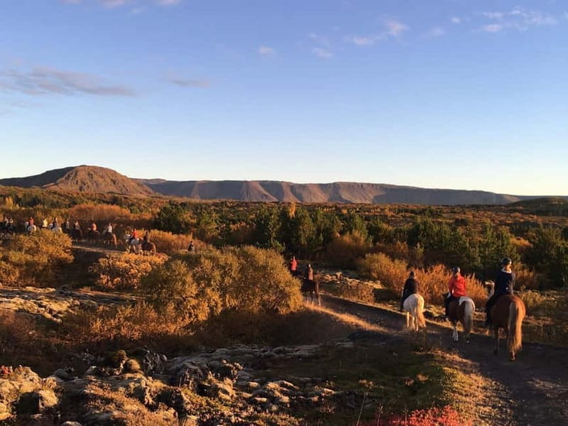 From Reykjavík: Icelandic Horse Riding Tour in Lava Fields - The Lava-Field Trail and What You’ll Actually Notice