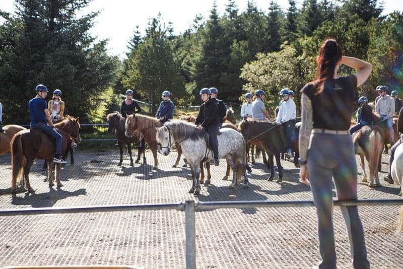 From Reykjavík: Icelandic Horse Riding Tour in Lava Fields - Weather-Proof Gear, Mud-Proof Planning