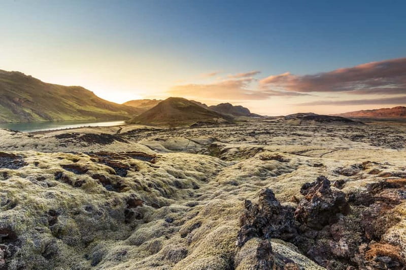 From Reykjavík: Icelandic Horse Riding Tour in Lava Fields - Price of About $141: What You’re Really Paying For
