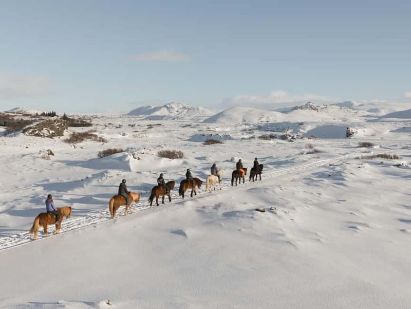 From Reykjavík: Icelandic Horse Riding Tour in Lava Fields - Íshestar Stables in Hafnarfjörður: Where Comfort Starts