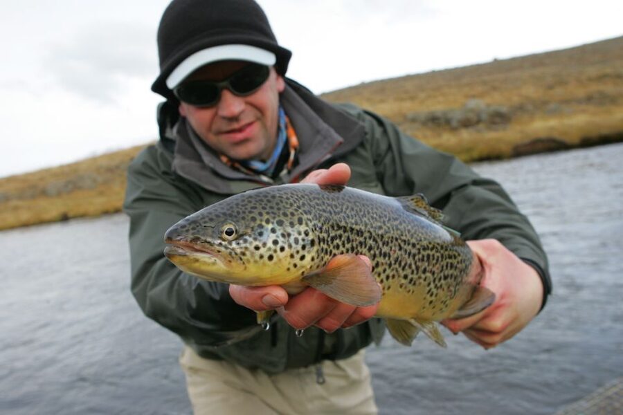 From Reykjavik: Lake and River Fishing Tour - Gear Up, Pick Your Style, and Get Real Fly Fishing Coaching