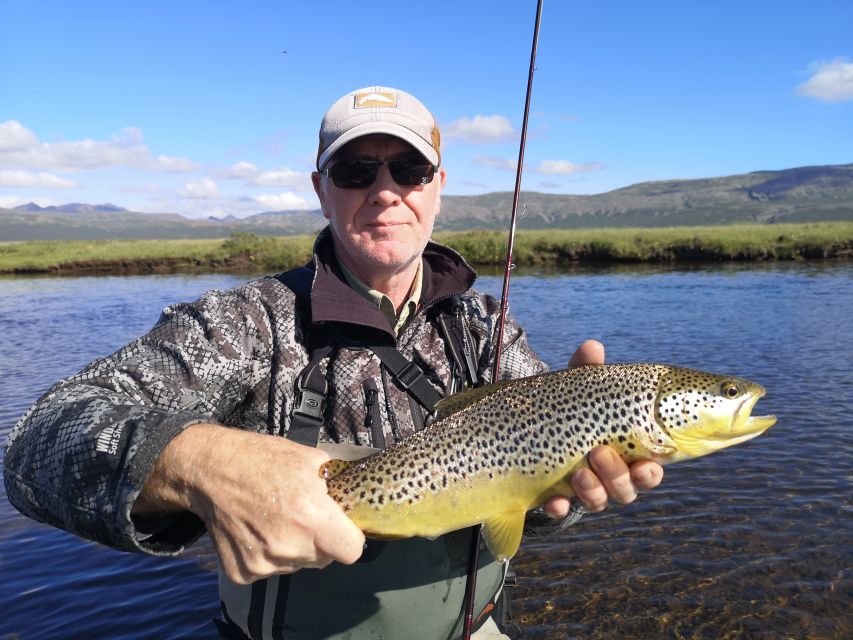 From Reykjavik: Lake and River Fishing Tour - Rod Choice, Technique Choices, and What Actually Improves Your Chances