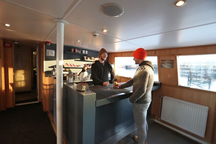 From Reykjavik: New Years Fireworks by Boat - Price and Value: What $150 Is Buying You