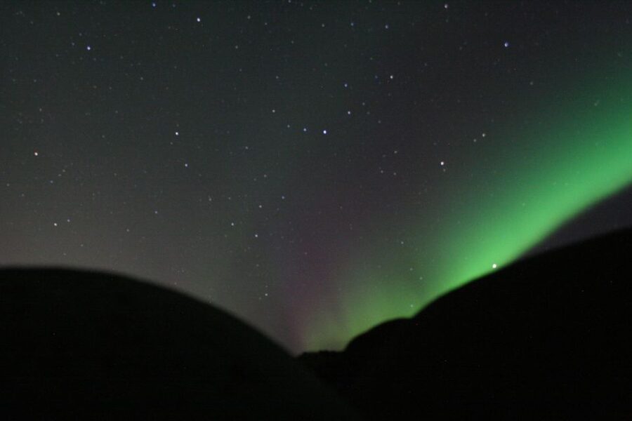 From Reykjavik: Northern Lights Boat Cruise - Price and value: what you get for about $101 per person