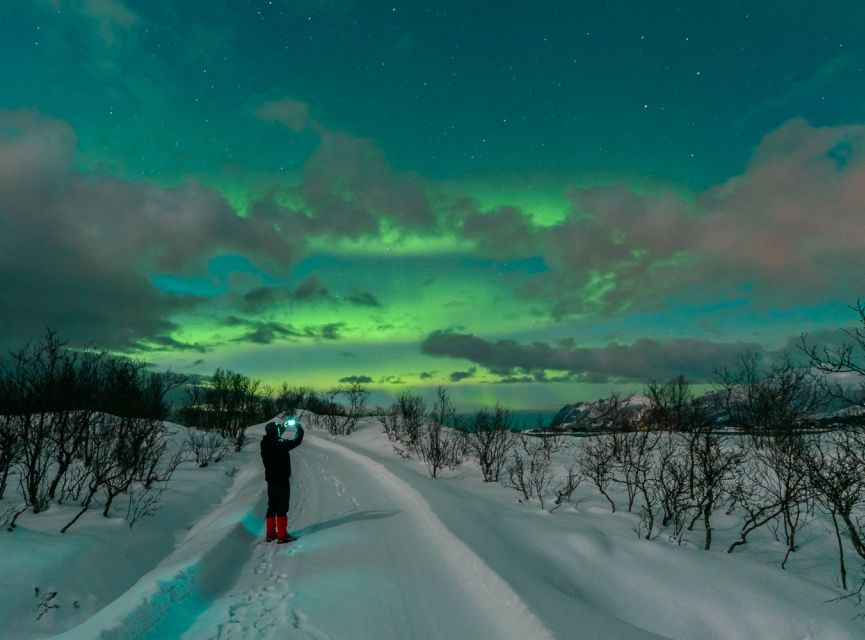 From Reykjavik: Northern Lights Chase with Expert Guide - Who should book this aurora chase (and who should skip it)
