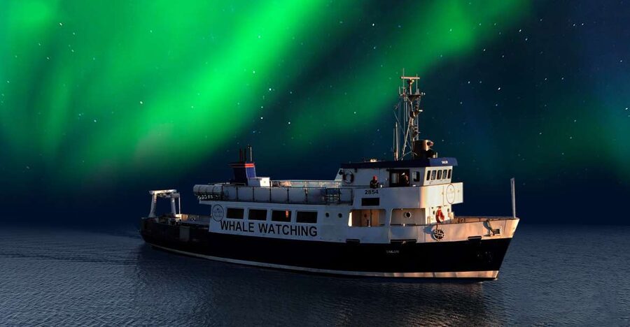 From Reykjavik: Northern Lights Sightseeing Cruise - Key things to know before you go