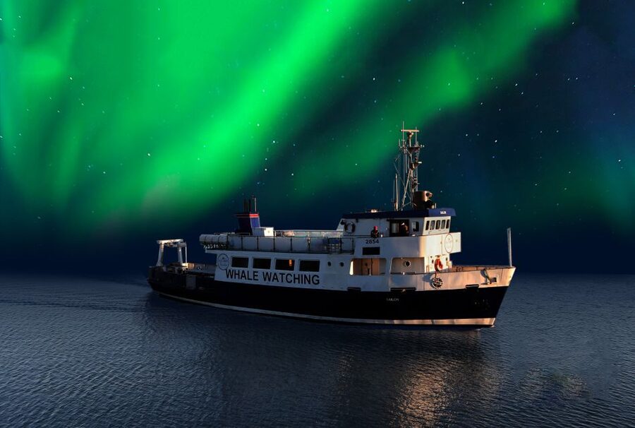 From Reykjavik: Northern Lights Sightseeing Cruise - The Moment the City Fades: Mountains, Open Water, and Stars