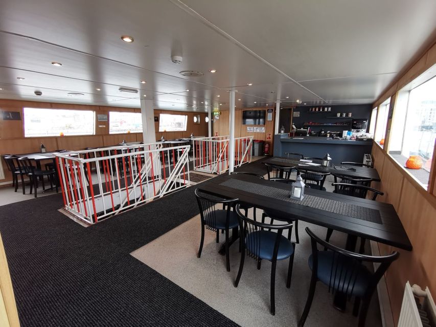 From Reykjavik: Northern Lights Sightseeing Cruise - What You’ll Actually Do on Board: Decks, Blankets, and Sky Watching