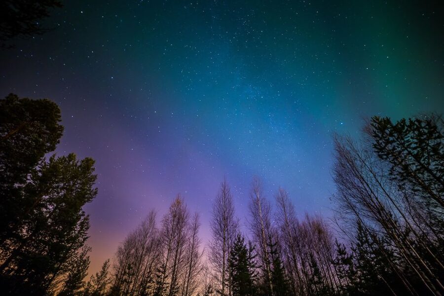 From Reykjavik: Northern Lights Tour - Staying warm is the real itinerary