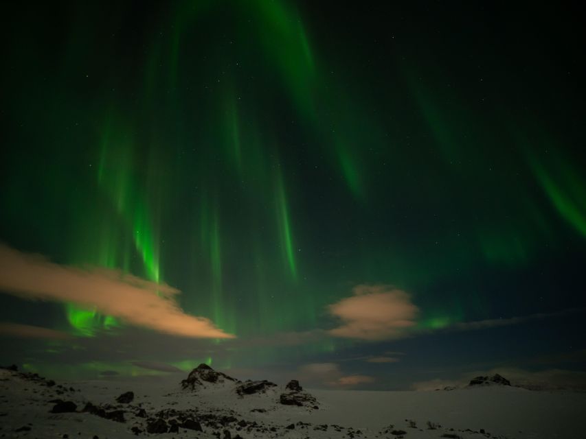 From Reykjavik: Northern Lights Tour with Hot Cocoa & Photos - The night’s flow: pickup options, secret photo stop, and moving with conditions