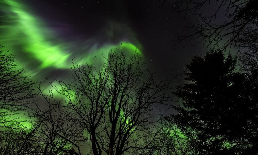 From Reykjavik: Northern Lights Tour with Lifetime Guarantee - A 3-hour Northern Lights bus ride, not a wilderness mission