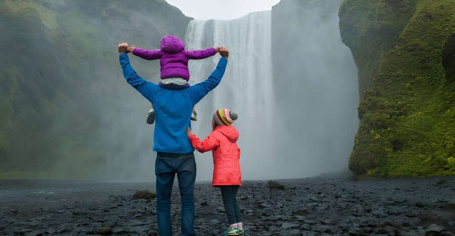 From Reykjavik: Private South Coast Tour in Iceland - Seljalandsfoss: the waterfall start that sets the mood