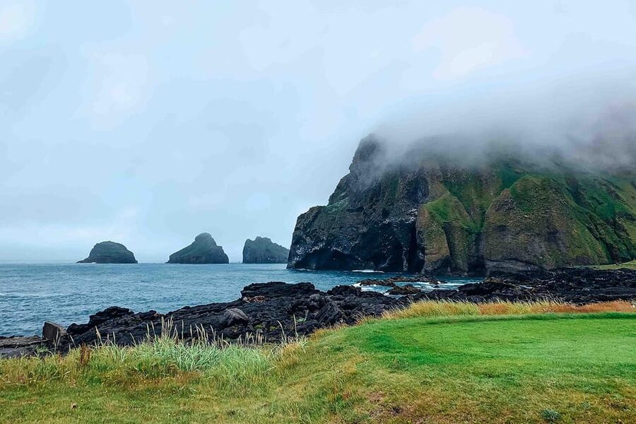 From Reykjavik: Puffin and Volcano Tour in Westman Islands - Pacing and free time on Vestmannaeyjar: make the last hour count