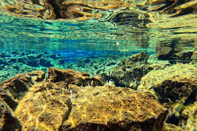 From Reykjavik- Silfra Snorkeling transfer included - Fitness and swim requirements: know the limits before you go