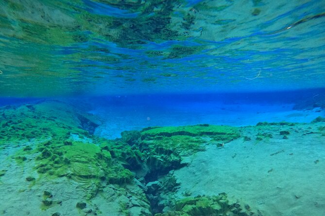 From Reykjavik- Silfra Snorkeling transfer included - Safety and support: guides who make the cold feel manageable