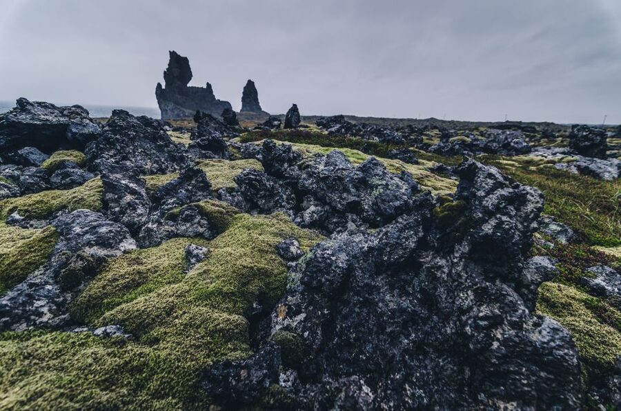 From Reykjavik: Snæfellsnes Full-Day Tour with Homemade Meal - Djúp alónssandur black beach: wind, cliffs, and dramatic sand