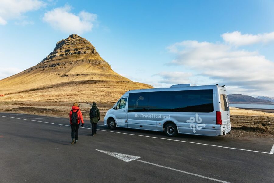 From Reykjavik: Snæfellsnes Peninsula Full-Day Tour - Ytri Tunga seals: when your timing lines up with wildlife