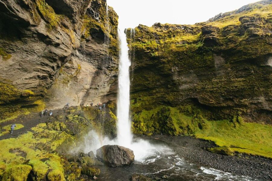 From Reykjavík: Waterfalls, Black Beach & Glacier Day Trip - Reynisfjara black beach: basalt columns and the wave danger lesson