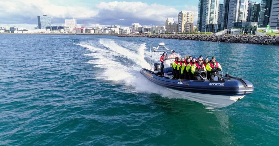 From Reykjavik: Whale Watching Tour by Speedboat - Quick take: what makes this speedboat tour work