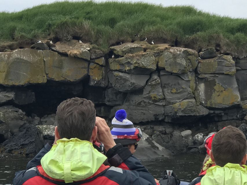 From Reykjavik: Whale Watching Tour by Speedboat - When the wind picks up: expect a thrill and plan your day