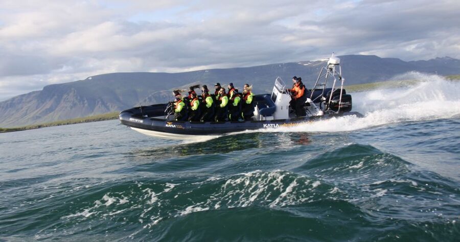 From Reykjavik: Whale Watching Tour by Speedboat - Puffins near nesting islands: the part that feels wonderfully chaotic
