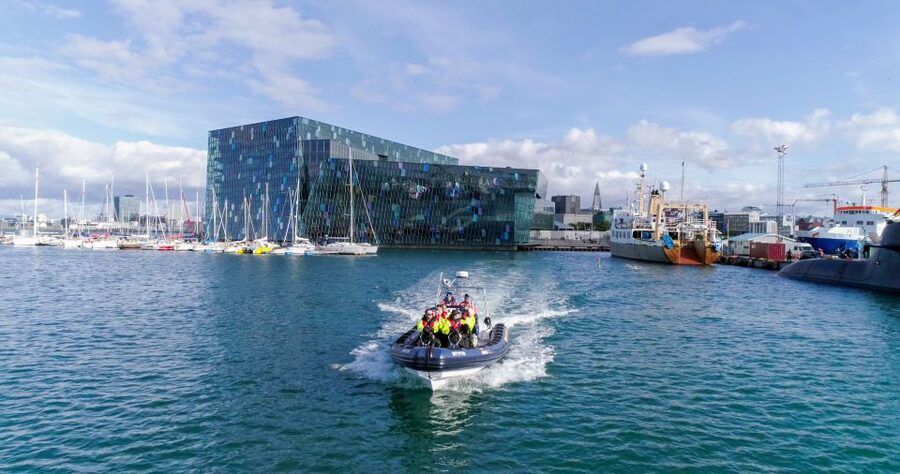 From Reykjavik: Whale Watching Tour by Speedboat - What your guide adds: city facts plus wildlife sense-making