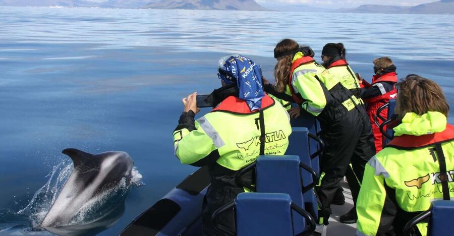 From Reykjavik: Whale Watching Tour by Speedboat - Gear check: gloves, goggles, and why shoes matter