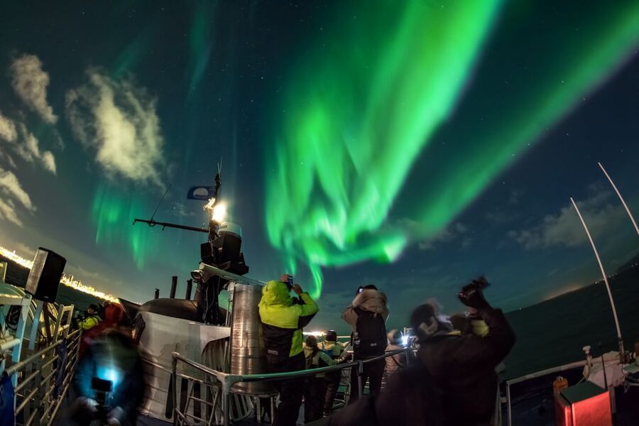 From Reykjavik: Whales and Northern Lights Boat Tour - What to consider before you commit: weather, sea conditions, and the no-guarantees truth
