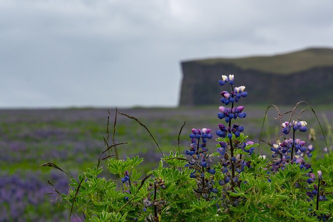 Full-Day Private Tour to Explore South Coast of Iceland - Key Highlights That Make This South Coast Day Feel Worth It