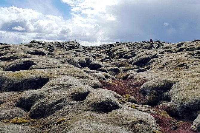 Glacier Lagoon & South Coast. Private Day Tour - Jokulsarlon Glacier Lagoon: the two-hour “blue ice” payoff