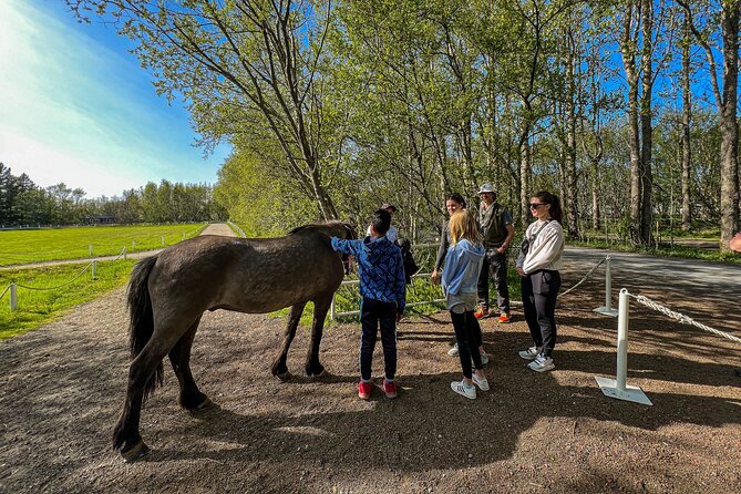 Golden Circle and Lunch at Fridheimar Tomato Farm - with photos - Gullfoss Falls: 25 minutes of classic Iceland waterfall power
