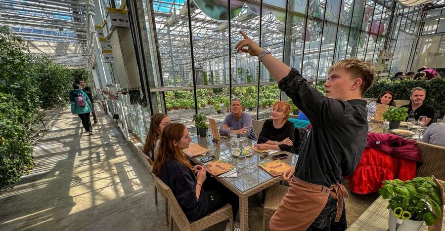 Golden Circle & Lunch at Fridheimar Tomato Farm- with photos - Price and Value: Is $180 Worth It?