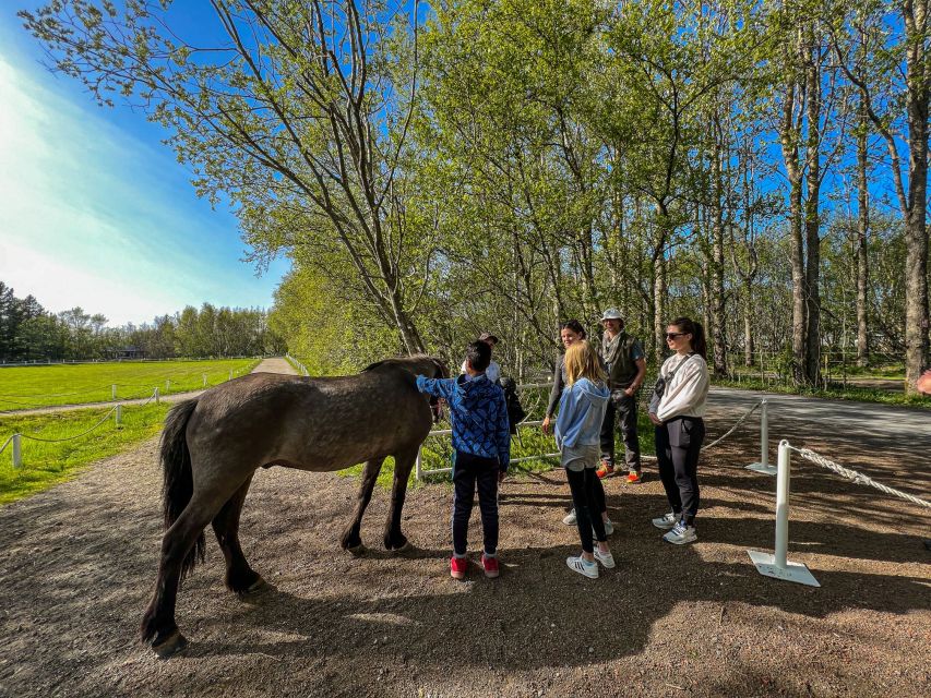 Golden Circle & Lunch at Fridheimar Tomato Farm- with photos - Photo Stops Without the Hassle: Let Your Guide Handle It