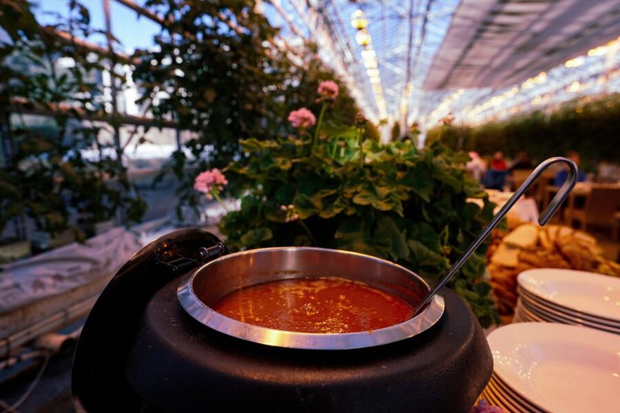 Golden Circle & Lunch at Fridheimar Tomato Farm- with photos - Reykjavik Pickup and a Comfortable, Small-Group Rhythm