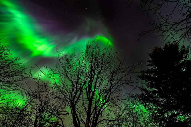 Golden Circle & Northern lights in Iceland - Geysir and the Strokkur timing: what 45 minutes can deliver